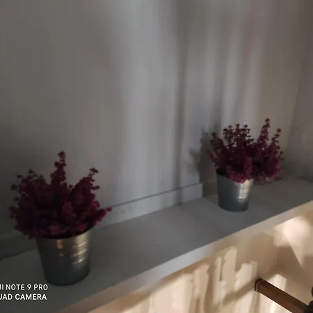 Maison Diletta Дом отдыха Кастеллетто-сопра-Тичино