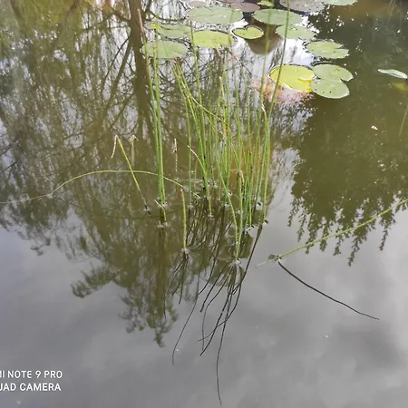 Maison Diletta Дом отдыха Кастеллетто-сопра-Тичино