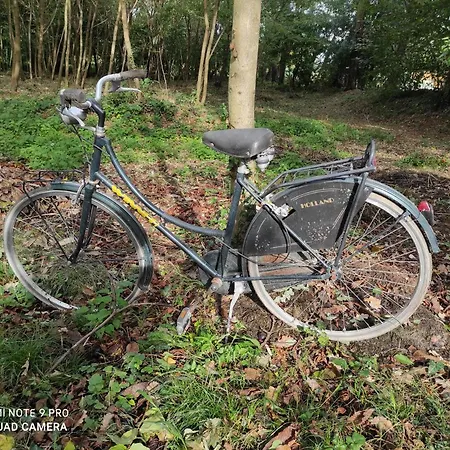 Maison Diletta * Castelletto sopra Ticino