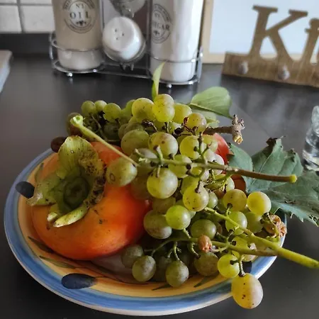 Дом отдыха Maison Diletta Кастеллетто-сопра-Тичино