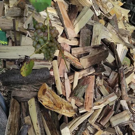 Maison Diletta Кастеллетто-сопра-Тичино