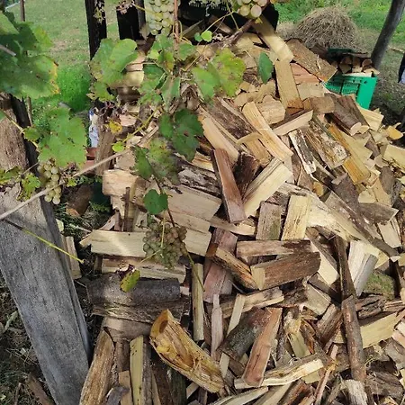 Maison Diletta Vakantiehuis *