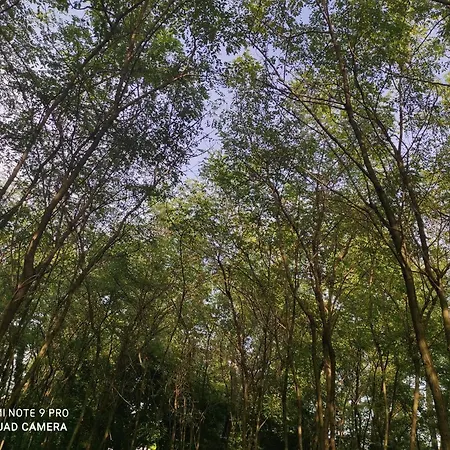 Maison Diletta Vakantiehuis