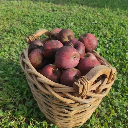 Maison Diletta Дом отдыха