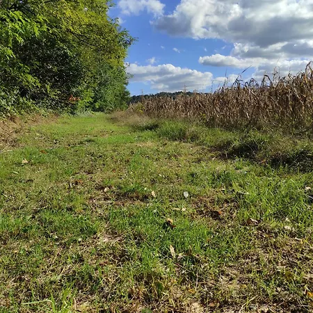 Maison Diletta Кастеллетто-сопра-Тичино