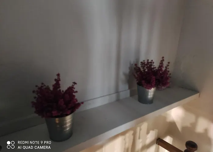 Maison Diletta Дом отдыха Кастеллетто-сопра-Тичино