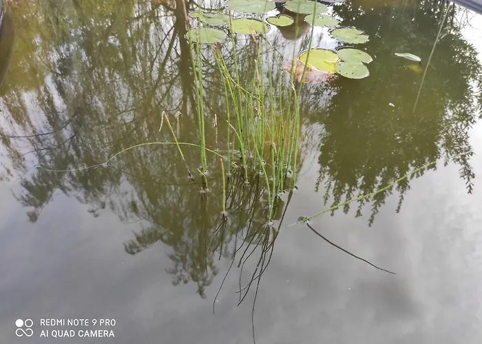 Maison Diletta Дом отдыха Кастеллетто-сопра-Тичино