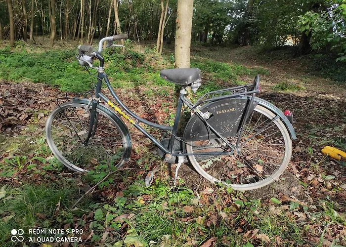 Maison Diletta * Castelletto sopra Ticino