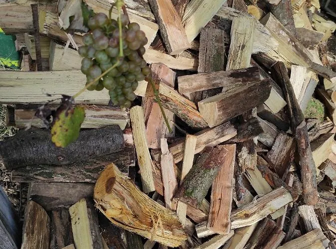 Maison Diletta Castelletto sopra Ticino