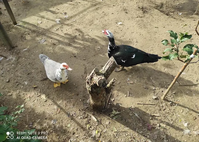 Casa de Férias Maison Diletta Castelletto sopra Ticino