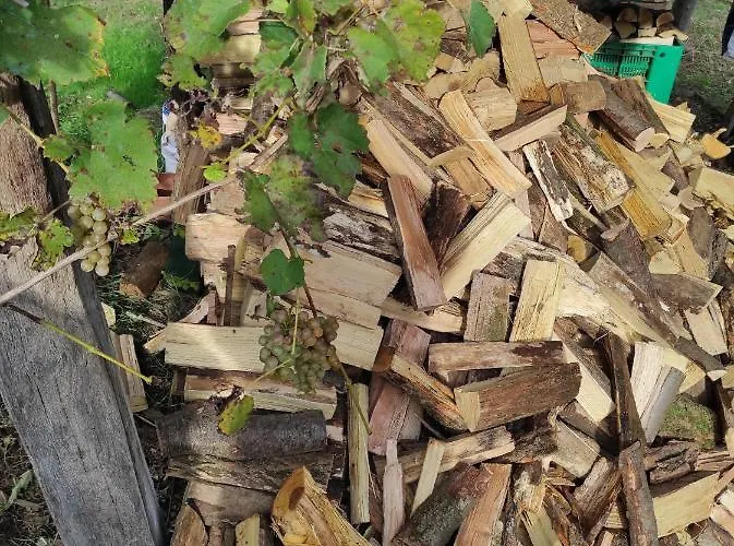 Maison Diletta Casa de Férias *