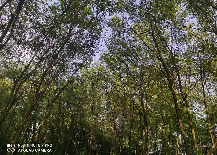 Maison Diletta 펜션