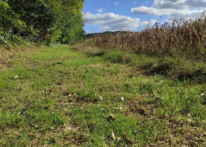 Maison Diletta Castelletto sopra Ticino